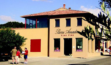 皮埃爾阿瑪蒂教皇新(xīn)堡