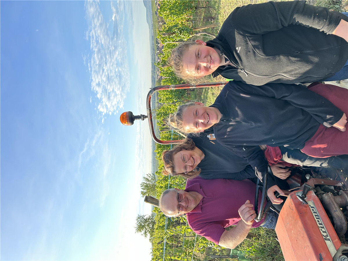 米歇爾馮內(nèi)酒莊采收場景